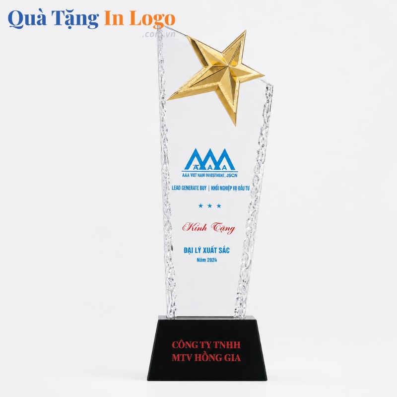 Kỷ Niệm Chương Quà Tặng In Khắc Logo - Ảnh 14