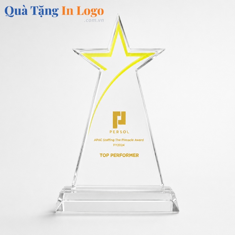 Kỷ Niệm Chương Quà Tặng In Khắc Logo - Ảnh 19