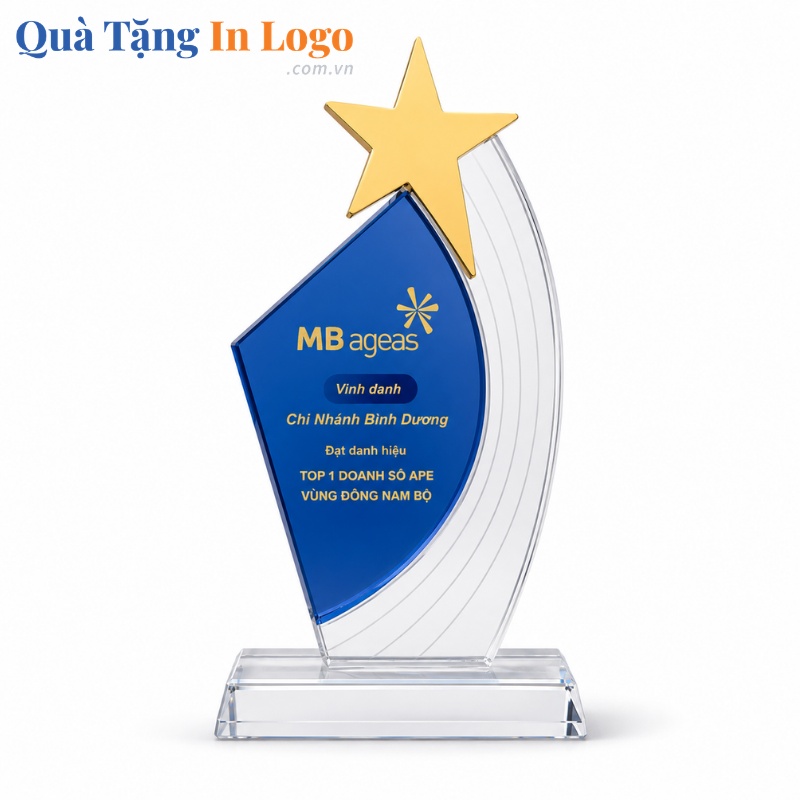 Kỷ Niệm Chương Quà Tặng In Khắc Logo - Ảnh 21