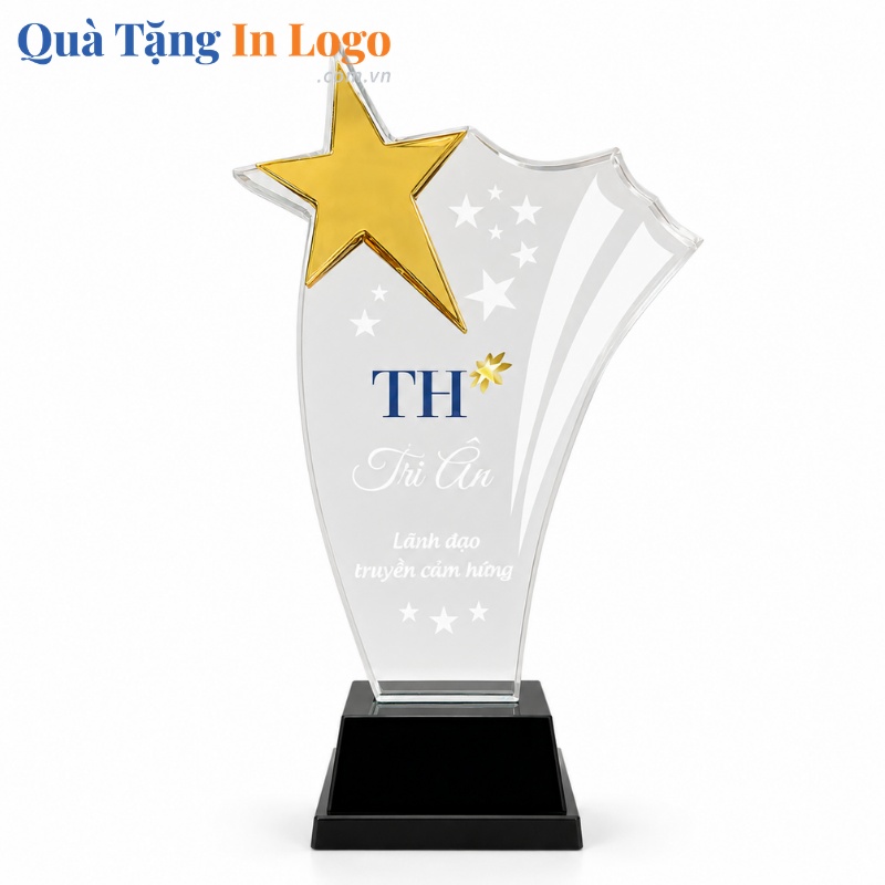 Kỷ Niệm Chương Quà Tặng In Khắc Logo - Ảnh 4